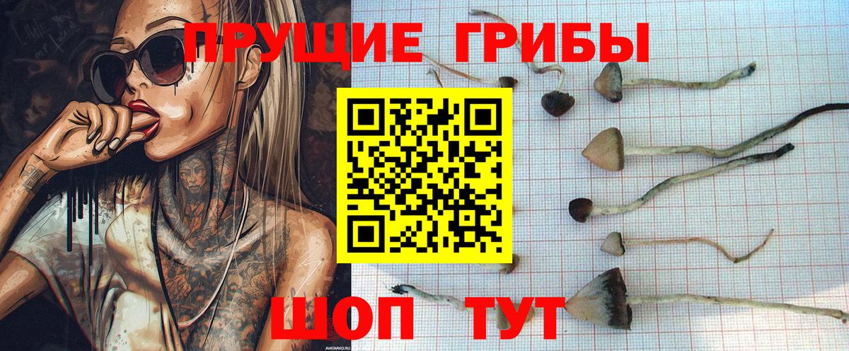 Галлюциногенные грибы мухоморы Чапаевск