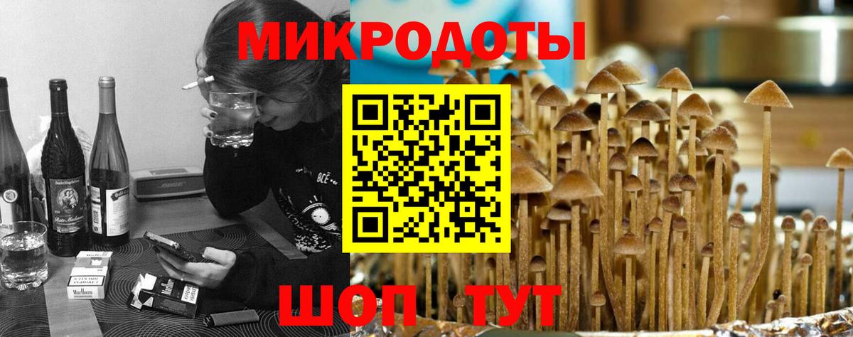 Галлюциногенные грибы Psilocybe  Вход с VPN  купить наркоту  Чапаевск 